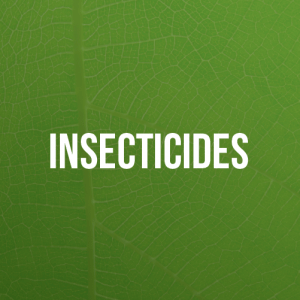 A green leaf with the words insecticides on it.