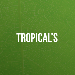 A green leaf with the words tropical's on it.